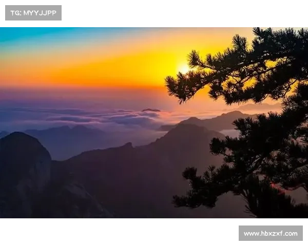 以东超为核心解析其深层含义与文化背景探讨 以东超为核心解析其深层含义与文化背景探讨