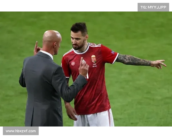 从实力状态与战术需求角度分析大卫路易斯落选国家队的深层原因